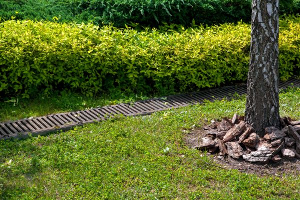 Residential Landscape Drainage in Hudson
