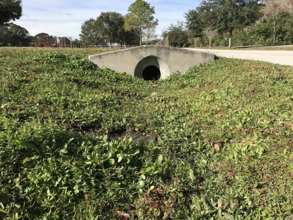 Cost of Swale Drainage Service in Hudson